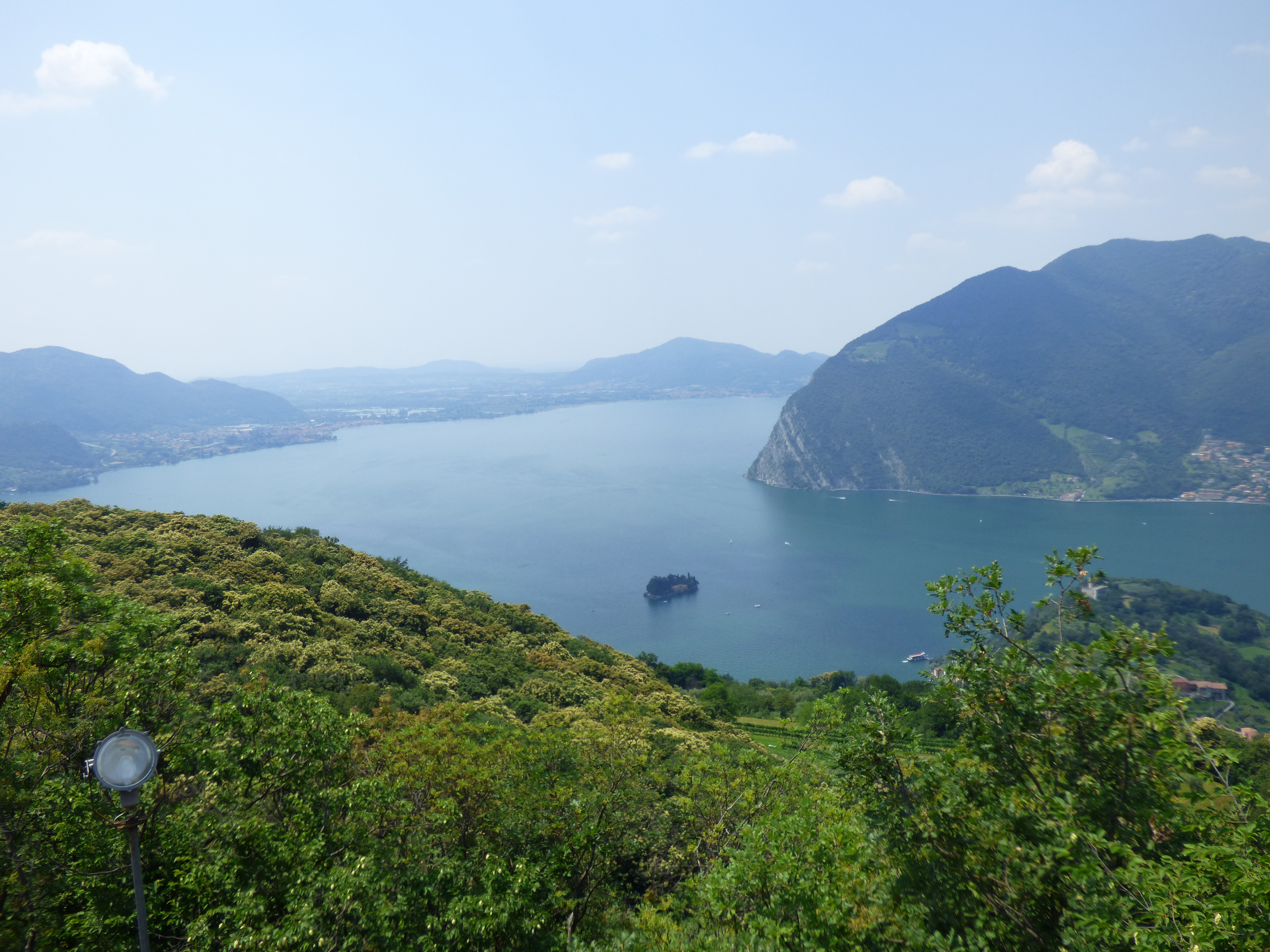 Al Lago Diseo Con Il Cane Cosa Fare E Quando Andare Home