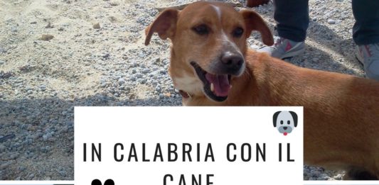 In calabria con il cane